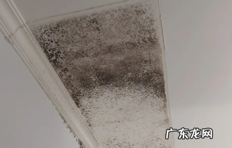 外墙渗水到内墙能彻底解决吗