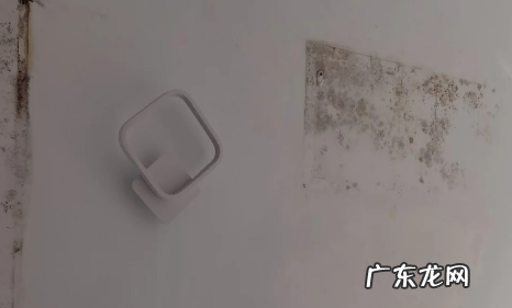 外墙渗水到内墙能彻底解决吗