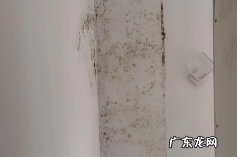 外墙渗水到内墙能彻底解决吗