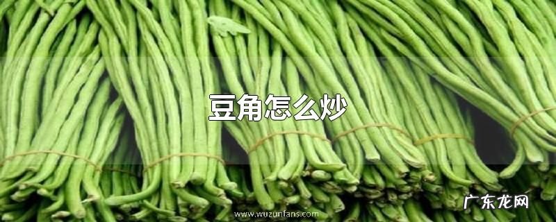 豆角怎么炒