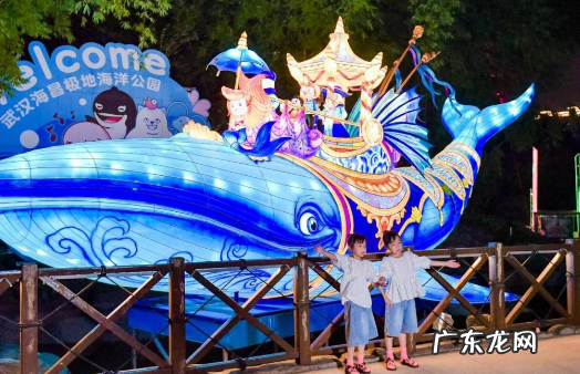 武汉海昌极地海洋世界夜场魔术哪个好看