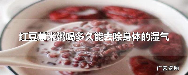 红豆薏米粥喝多久能去除身体的湿气
