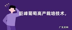 巨峰葡萄高产栽培技术，附主要性状