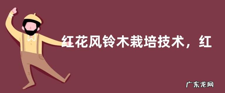 红花风铃木栽培技术,红花风铃木的生长习性