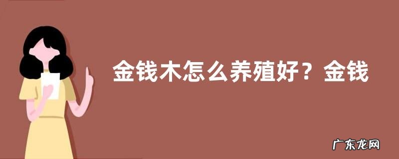 金钱木怎么养殖好？金钱木的生长习性