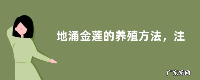 地涌金莲的养殖方法,注意生长期要适量追肥