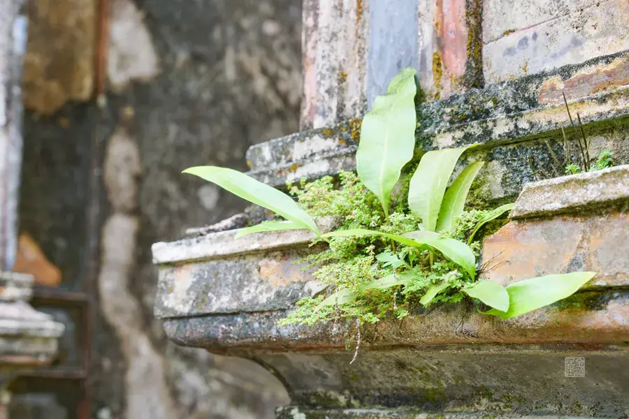 风水符 宅邸风水符值钱吗