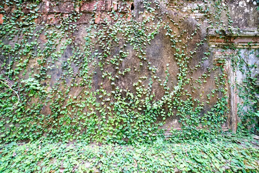 风水符 宅邸风水符值钱吗