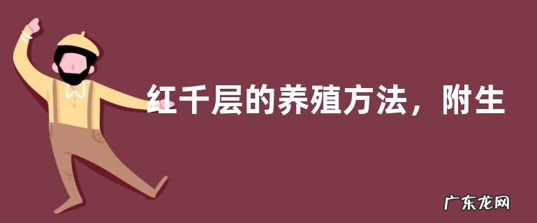 红千层的养殖方法，附生长习性和繁殖方法