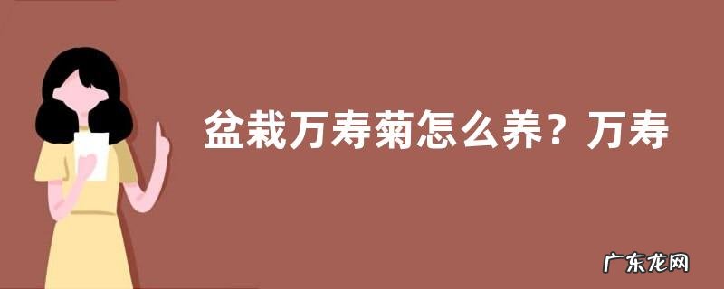 盆栽万寿菊怎么养?万寿菊的生长习性和繁殖方法
