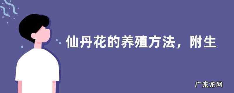 仙丹花的养殖方法,附生长习性和繁殖方法