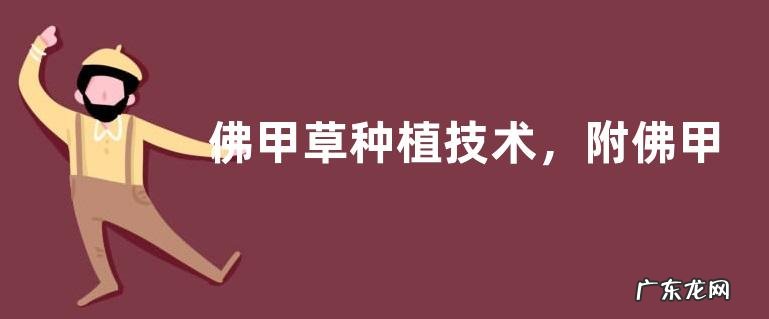 佛甲草种植技术,附佛甲草的生长习惯