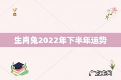 生肖兔2022年下半年运势