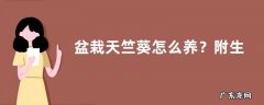 盆栽天竺葵怎么养？附生长习性