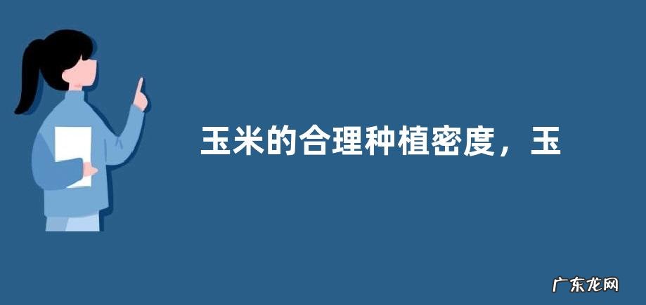 玉米的合理种植密度,玉米品种的特征特性