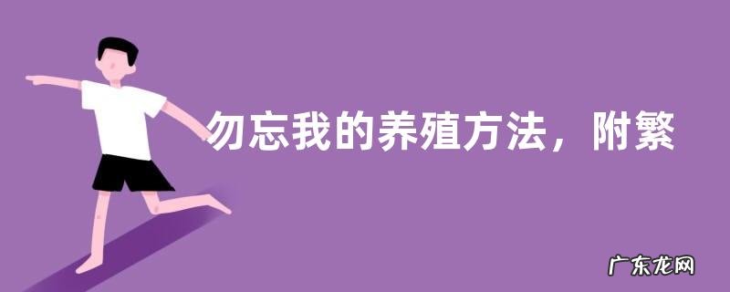 勿忘我的养殖方法,附繁殖方法