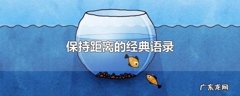保持距离的经典语录