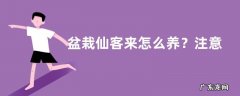 盆栽仙客来怎么养？注意病虫害防治