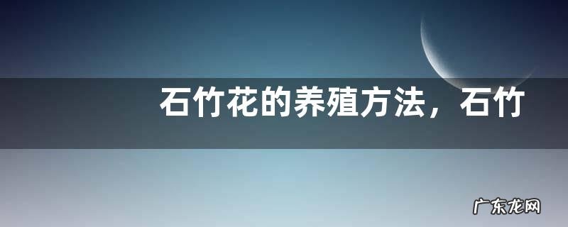 石竹花的养殖方法，石竹花的生长习性