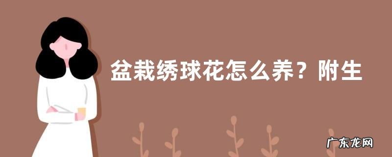 盆栽绣球花怎么养？附生长习性、繁殖方法和注意事项