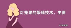 灯笼果的繁殖技术，主要有这三种