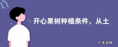 开心果树种植条件，从土壤、水分、温度三方面来分析