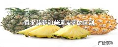 香水菠萝和普通菠萝的区别