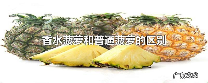 香水菠萝和普通菠萝的区别