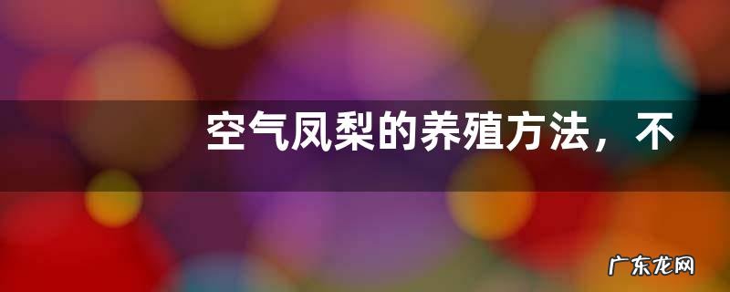 空气凤梨的养殖方法,不依赖于泥土就可生长的植物