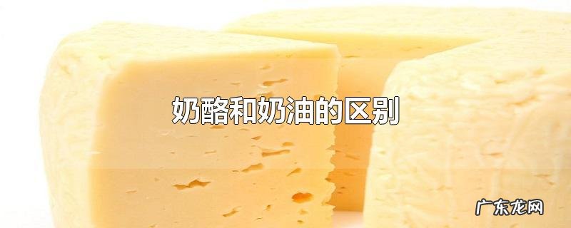 奶酪和奶油的区别