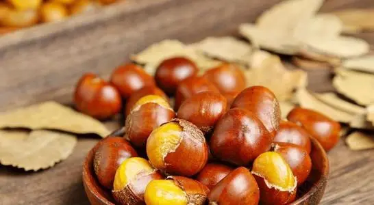 板栗直接煮还是开口煮-简短介绍