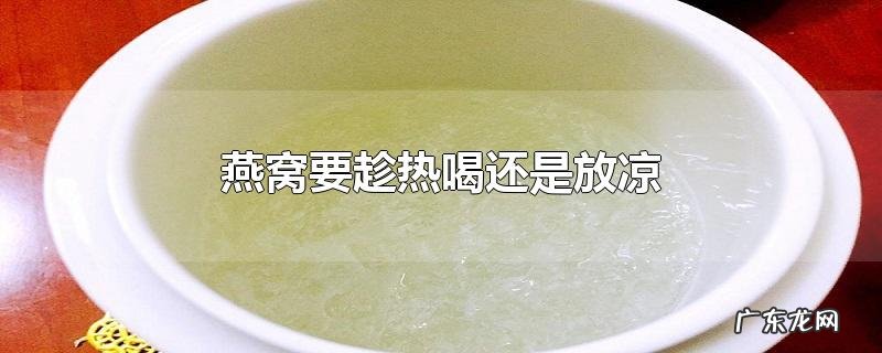 燕窝要趁热喝还是放凉