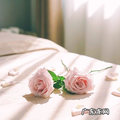 前男友聊着聊着就不回信息了说明什么-已经不在乎你