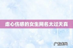 虐心伤感的女生网名太过天真
