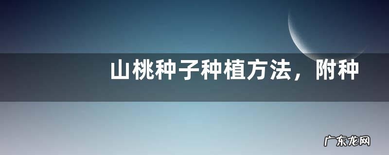 山桃种子种植方法,附种子价格