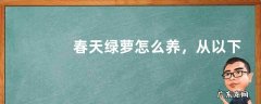 春天绿萝怎么养，从以下几点入手