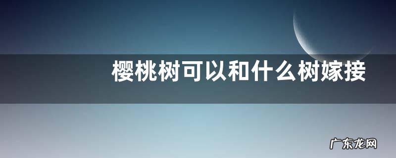 樱桃树可以和什么树嫁接?樱桃树的嫁接方式有哪些