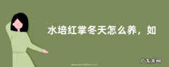 水培红掌冬天怎么养，如何增加氧气