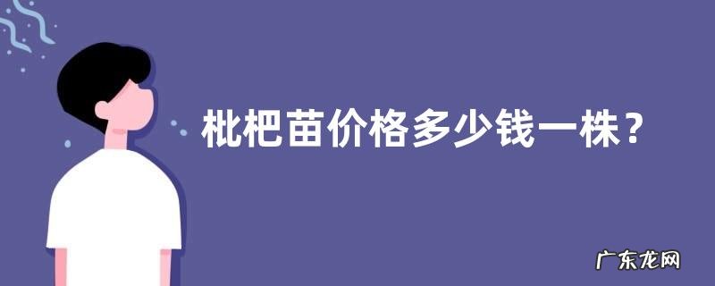 枇杷苗价格多少钱一株?什么时候种植?怎样栽培