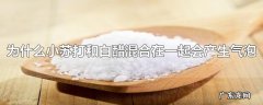 为什么小苏打和白醋混合在一起会产生气泡