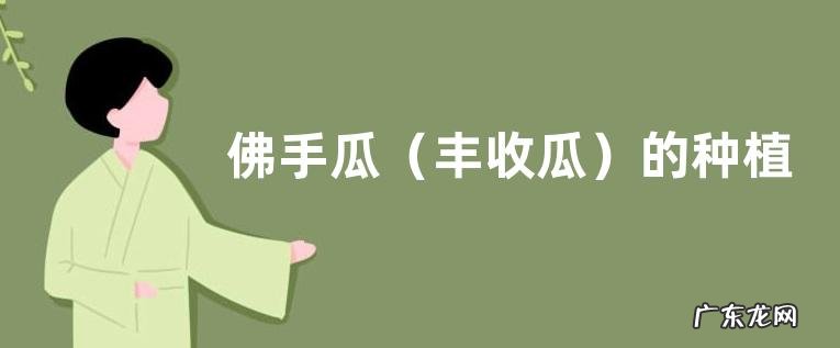 丰收瓜 佛手瓜的种植方法,注意要施肥三次