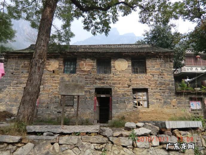 绿色风水学代表什么 风水抬头见绿树好吗