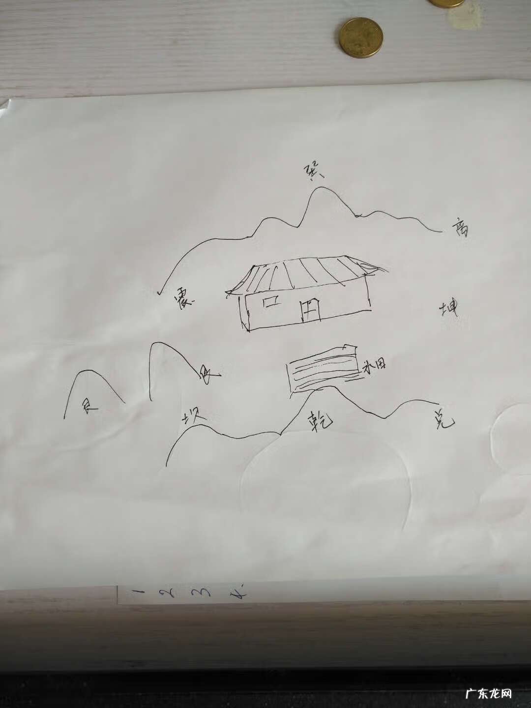 绿色风水学代表什么 风水抬头见绿树好吗