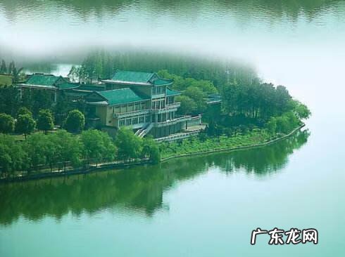 绿色风水学代表什么 风水抬头见绿树好吗