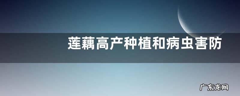 莲藕高产种植和病虫害防治技术,如何采摘