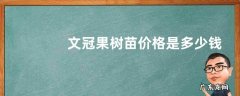 文冠果树苗价格是多少钱一棵？怎么种植？
