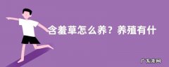 含羞草怎么养？养殖有什么注意事项？注意温度过低时要采取保护措施