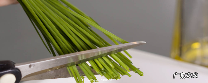 小葱头怎么种,附种植要点