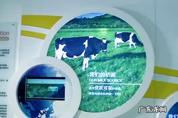 惠氏奶粉是哪个国家的