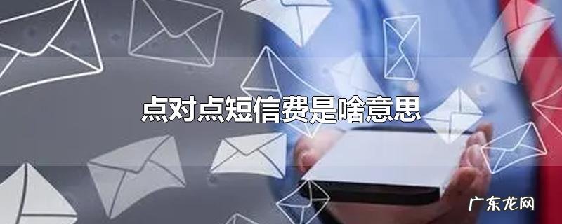点对点短信费是啥意思